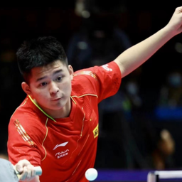 在今年的 在今年的