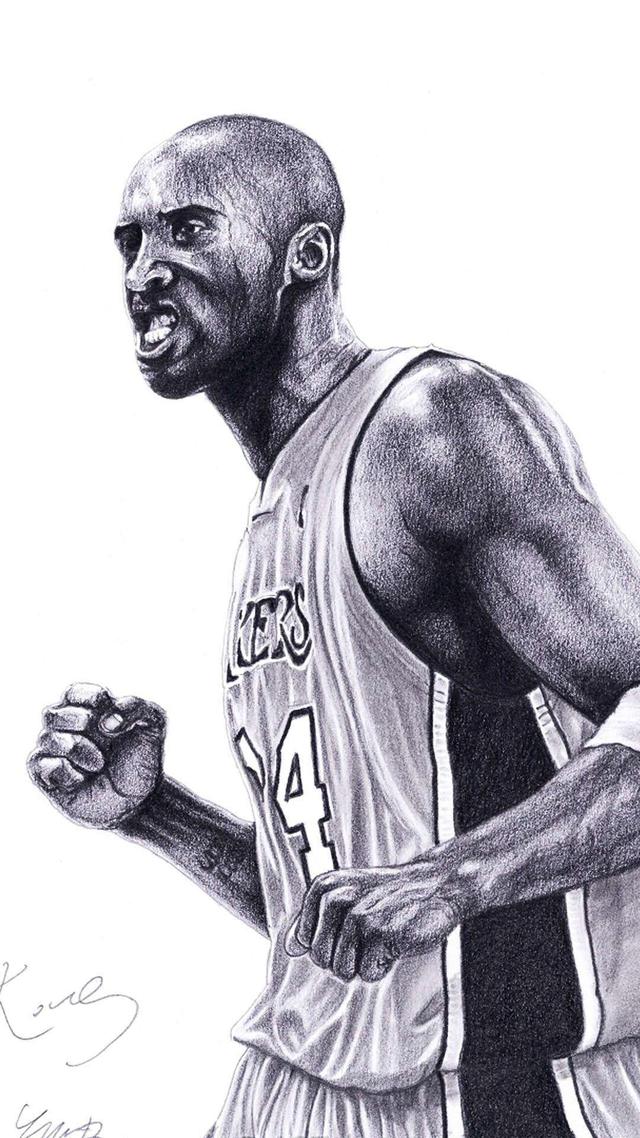 长寿曲线 长寿曲线